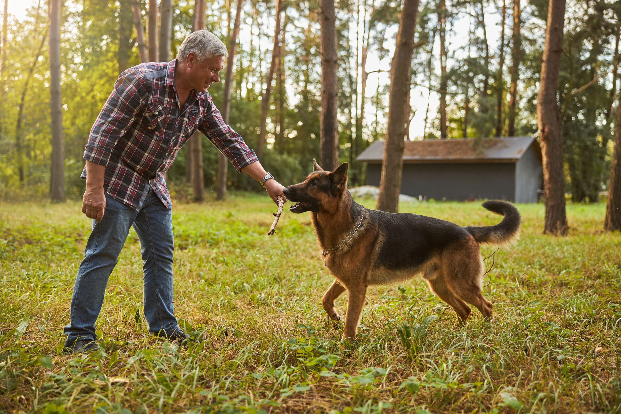 Older Man playing with his dog